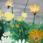 Daisies